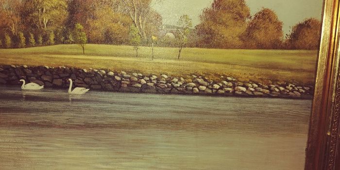 Beautiful original liam jones oil on canvas.