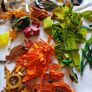 Lego/Bionicle Image 7