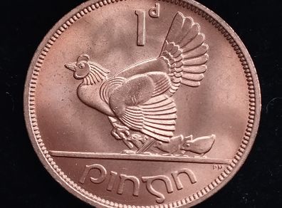 Ireland - 1968 - 1 Penny - Hen with Chicks - KM.11 - [270]