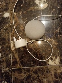 Google home mini
