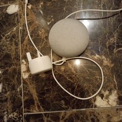 Google home mini