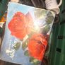 Car boot Box lot of Items sold as a lot, Crate not included., More Lots Available in my other Items, Collection Only in Rochfortbridge Westmeath., Image 5