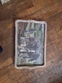 tray
