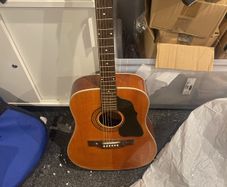 Eko guitar