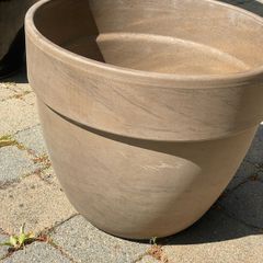 Plant pot