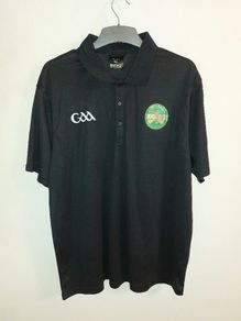 offaly gaa top