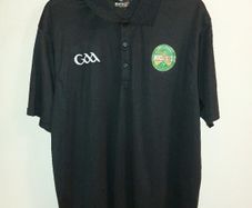offaly gaa top