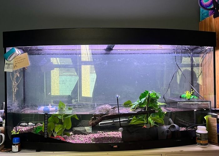 Tank Juwel 260l