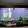 Tank Juwel 260l Image 2