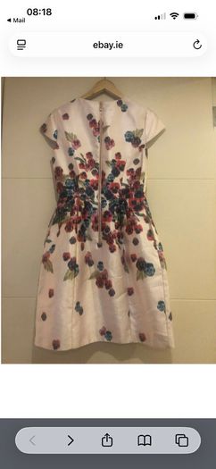 Ted Baker Dress