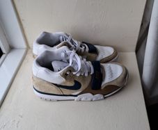 Air Trainer 1 Limestone and Valerian Blue