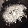 lightshade Image 2
