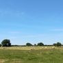 Hay Image 3