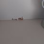 high bed for sale with 3 drawers, 3 small shelves, a small wardrobe and a deak underneath. Mattress included. Height 172cm, Width 192cm, Depth 95cm. Some small marks on desk and back of desk - see photos Image 7