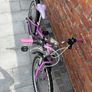 Cuda 24" Bike Image 2