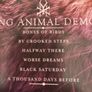 Soundgarden- King Animal Demos (Limited Edition) Image 8