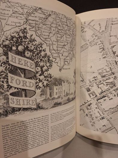 SALE!  VICTORIAN MAPS of the British Isles by David Smith