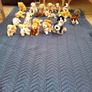 Ty Beanie babies Dog bundle Image 2