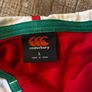 Large British and Irish Lions 2021 Supporters Rugby Jersey Image 2