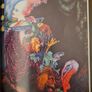 Musil'uomo By Senza Qualita. Grazia Lodeserto. Large Paperback With Beautiful Illustrated Art Pictures. See Photos. 32. Image 7