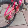 Popular Girls Bike Image 3