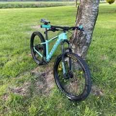 Trek roscoe 7 small frame