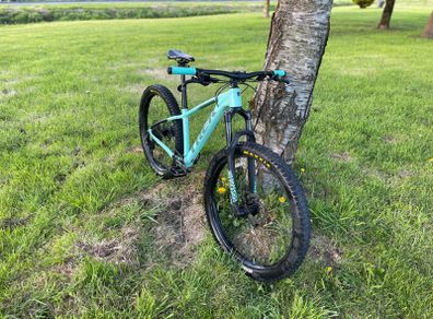 Trek roscoe 7 mtb small