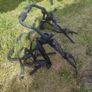 Bike Rack Image 2