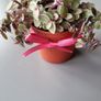 Cute little house plants. 5euro Image 3