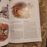 Garden Bird Behaviour. Robert Burton. How To Recognise And Everyday Bird Activities. First Edition Large Volume Paperback In Good Condition. Image 8