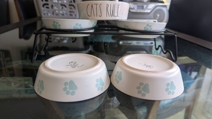 Cat Feeding Station