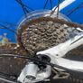 Giant Rapid M (Fully Serviced) Image 4