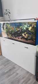 Fish tank and stand