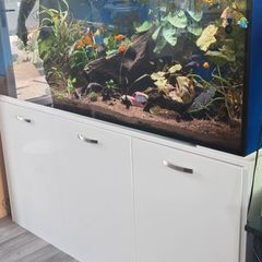 Fish tank and stand