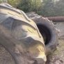 Tractor tyres Image 5