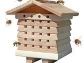 Wildlife World Solitary Bee Hive