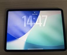 Apple iPad Pro 11 inch  64GB Space Grey WiFi Cellular