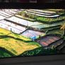 Sony 55" UHD Led TV with Android, KD-55XF9005 Image 5
