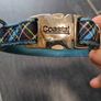 Ribbon Dog Collar Image 3