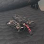 Premium Fpv Drone Kit Image 2