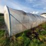 Polytunnel Image 6
