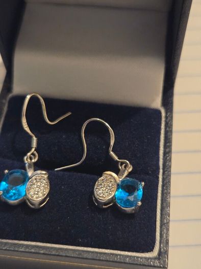925 Sterling Silver Earrings