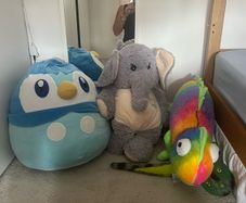 3 large teddies - free