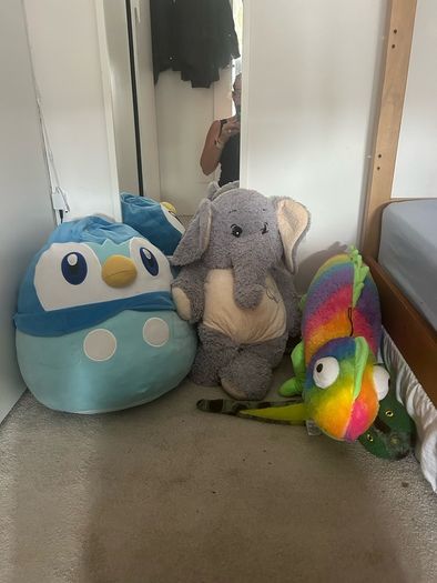 3 large teddies - free