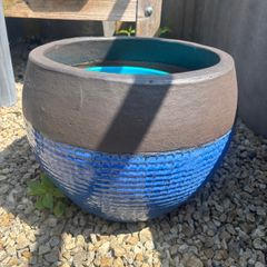 Large plant pot