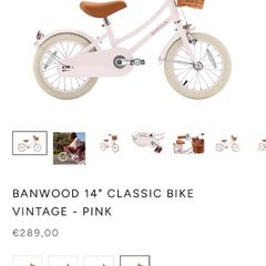 Banwood Bike
