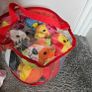 soft toy bundle Image 6