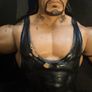 WWE Monsters bundle Image 10
