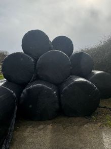 Haylage and Hay