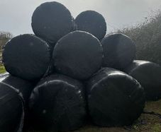 Haylage and Hay